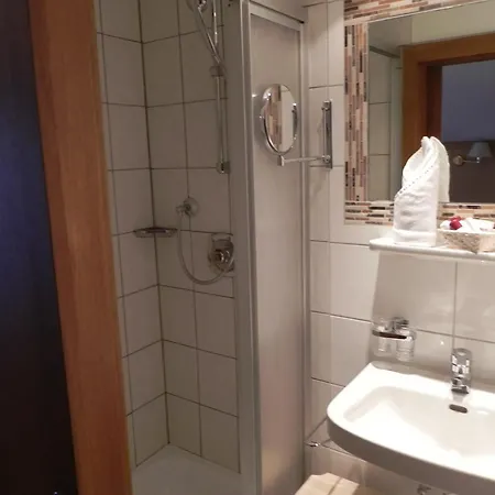 Hotel-restaurant Sonnhof 3* Radfeld